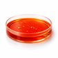 Saffron Extract (PG)
